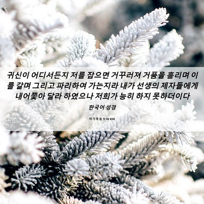 Picture 06 - 마가복음 9:18 KOR - 귀신이 어디서든지 저를 잡으면 - Bible Verse Picture