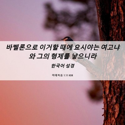 Picture 06 - 마태복음 1:11 KOR - 바벨론으로 이거할 때에 요시야는 - Bible Verse Picture