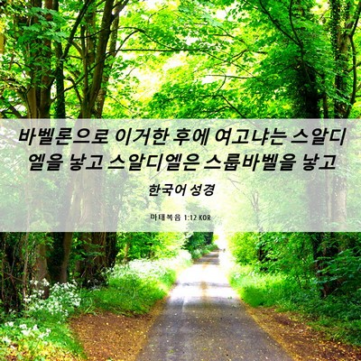 Picture 06 - 마태복음 1:12 KOR - 바벨론으로 이거한 후에 여고냐는 - Bible Verse Picture