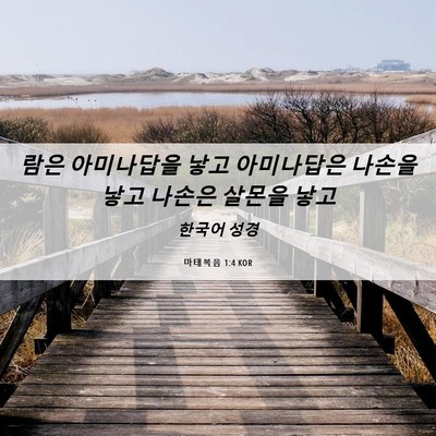 Picture 06 - 마태복음 1:4 KOR - 람은 아미나답을 낳고 아미나답은 - Bible Verse Picture