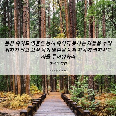 Picture 06 - 마태복음 10:28 KOR - 몸은 죽여도 영혼은 능히 죽이지 - Bible Verse Picture