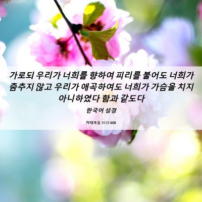 Picture 06 - 마태복음 11:17 KOR - 가로되 우리가 너희를 향하여 피리를 - Bible Verse Picture
