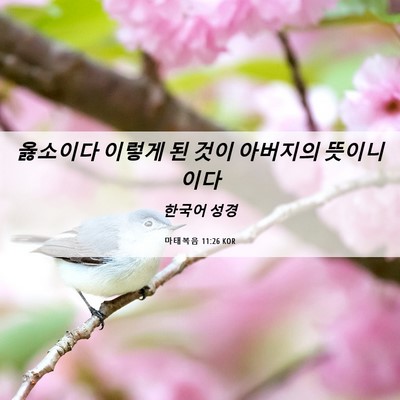 Picture 06 - 마태복음 11:26 KOR - 옳소이다 이렇게 된 것이 아버지의 - Bible Verse Picture