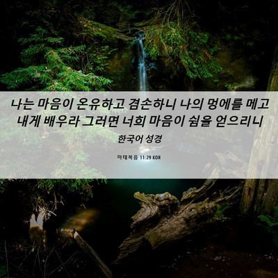 Picture 06 - 마태복음 11:29 KOR - 나는 마음이 온유하고 겸손하니 나의 - Bible Verse Picture