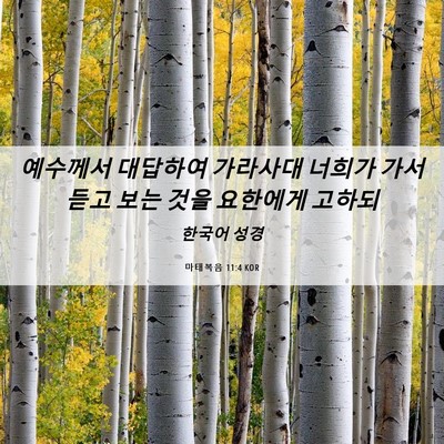 Picture 06 - 마태복음 11:4 KOR - 예수께서 대답하여 가라사대 너희가 - Bible Verse Picture