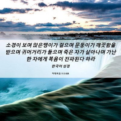 Picture 06 - 마태복음 11:5 KOR - 소경이 보며 앉은뱅이가 걸으며 - Bible Verse Picture