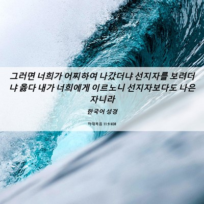 Picture 06 - 마태복음 11:9 KOR - 그러면 너희가 어찌하여 나갔더냐 - Bible Verse Picture