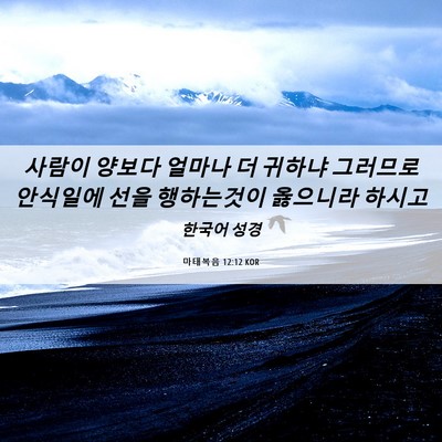 Picture 06 - 마태복음 12:12 KOR - 사람이 양보다 얼마나 더 귀하냐 - Bible Verse Picture