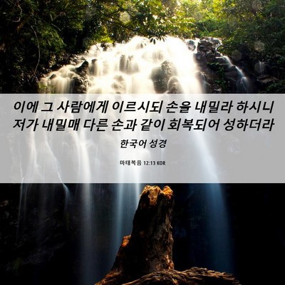 Picture 06 - 마태복음 12:13 KOR - 이에 그 사람에게 이르시되 손을 - Bible Verse Picture