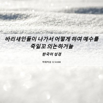 Picture 06 - 마태복음 12:14 KOR - 바리새인들이 나가서 어떻게 하여 - Bible Verse Picture