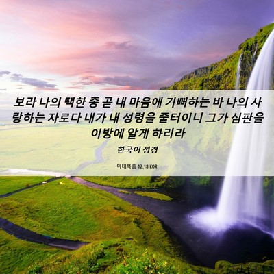 Picture 06 - 마태복음 12:18 KOR - 보라 나의 택한 종 곧 내 마음에 - Bible Verse Picture