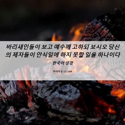 Picture 06 - 마태복음 12:2 KOR - 바리새인들이 보고 예수께 고하되 - Bible Verse Picture