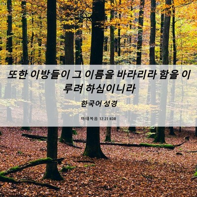 Picture 06 - 마태복음 12:21 KOR - 또한 이방들이 그 이름을 바라리라 - Bible Verse Picture