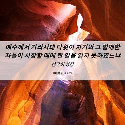 Picture 06 - 마태복음 12:3 KOR - 예수께서 가라사대 다윗이 자기와 그 - Bible Verse Picture
