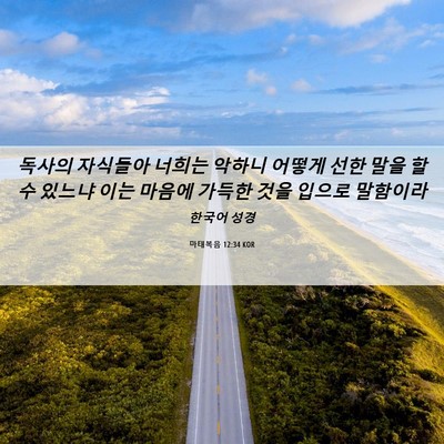 Picture 06 - 마태복음 12:34 KOR - 독사의 자식들아 너희는 악하니 - Bible Verse Picture