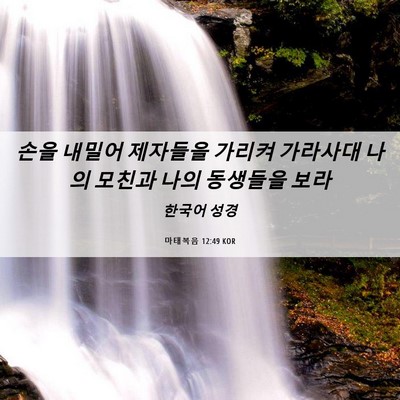 Picture 06 - 마태복음 12:49 KOR - 손을 내밀어 제자들을 가리켜 - Bible Verse Picture