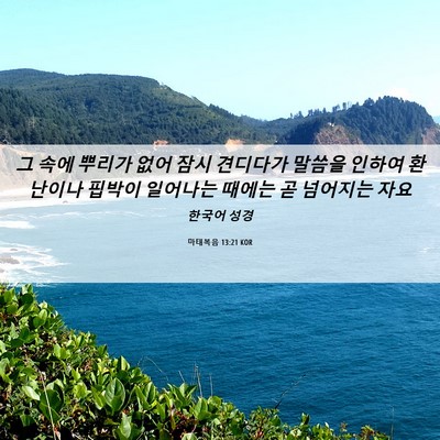 Picture 06 - 마태복음 13:21 KOR - 그 속에 뿌리가 없어 잠시 견디다가 - Bible Verse Picture
