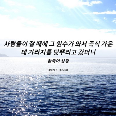 Picture 06 - 마태복음 13:25 KOR - 사람들이 잘 때에 그 원수가 와서 - Bible Verse Picture
