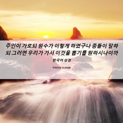 Picture 06 - 마태복음 13:28 KOR - 주인이 가로되 원수가 이렇게 - Bible Verse Picture