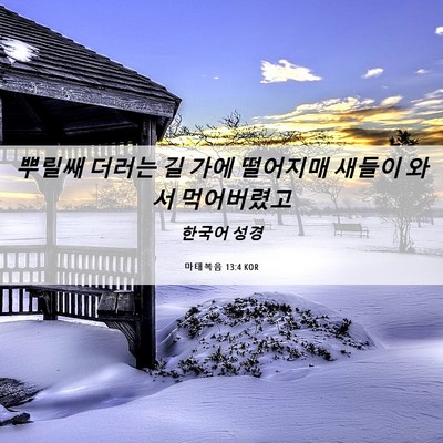 Picture 06 - 마태복음 13:4 KOR - 뿌릴쌔 더러는 길 가에 떨어지매 - Bible Verse Picture