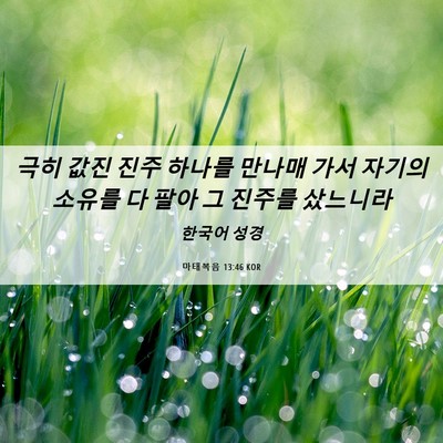 Picture 06 - 마태복음 13:46 KOR - 극히 값진 진주 하나를 만나매 가서 - Bible Verse Picture