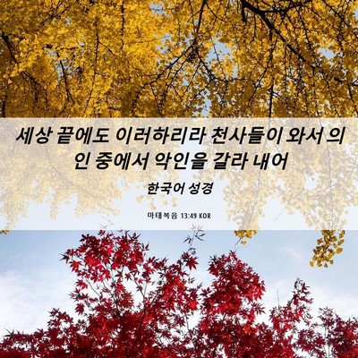 Picture 06 - 마태복음 13:49 KOR - 세상 끝에도 이러하리라 천사들이 - Bible Verse Picture