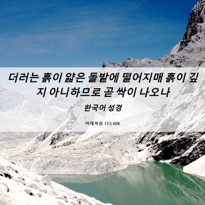Picture 06 - 마태복음 13:5 KOR - 더러는 흙이 얇은 돌밭에 떨어지매 - Bible Verse Picture