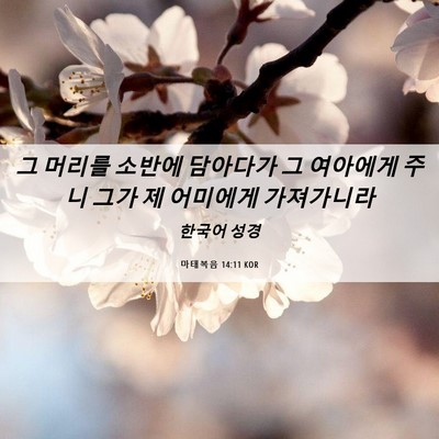 Picture 06 - 마태복음 14:11 KOR - 그 머리를 소반에 담아다가 그 - Bible Verse Picture