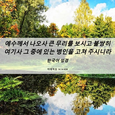 Picture 06 - 마태복음 14:14 KOR - 예수께서 나오사 큰 무리를 보시고 - Bible Verse Picture