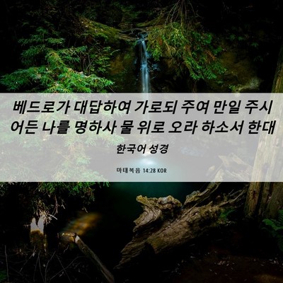 Picture 06 - 마태복음 14:28 KOR - 베드로가 대답하여 가로되 주여 만일 - Bible Verse Picture