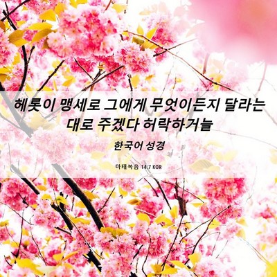 Picture 06 - 마태복음 14:7 KOR - 헤롯이 맹세로 그에게 무엇이든지 - Bible Verse Picture