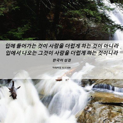 Picture 06 - 마태복음 15:11 KOR - 입에 들어가는 것이 사람을 더럽게 - Bible Verse Picture