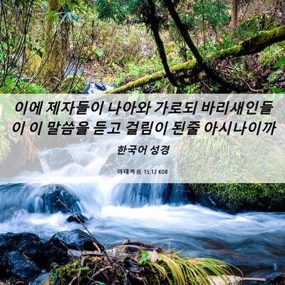 Picture 06 - 마태복음 15:12 KOR - 이에 제자들이 나아와 가로되 - Bible Verse Picture