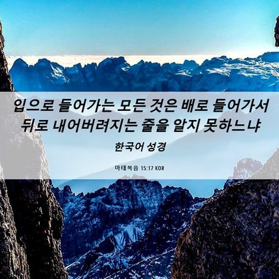 Picture 06 - 마태복음 15:17 KOR - 입으로 들어가는 모든 것은 배로 - Bible Verse Picture