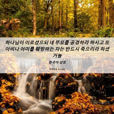 Picture 06 - 마태복음 15:4 KOR - 하나님이 이르셨으되 네 부모를 - Bible Verse Picture
