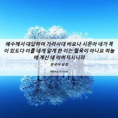 Picture 06 - 마태복음 16:17 KOR - 예수께서 대답하여 가라사대 바요나 - Bible Verse Picture