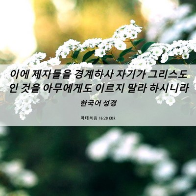 Picture 06 - 마태복음 16:20 KOR - 이에 제자들을 경계하사 자기가 - Bible Verse Picture