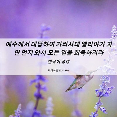 Picture 06 - 마태복음 17:11 KOR - 예수께서 대답하여 가라사대 - Bible Verse Picture