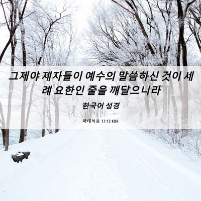 Picture 06 - 마태복음 17:13 KOR - 그제야 제자들이 예수의 말씀하신 - Bible Verse Picture