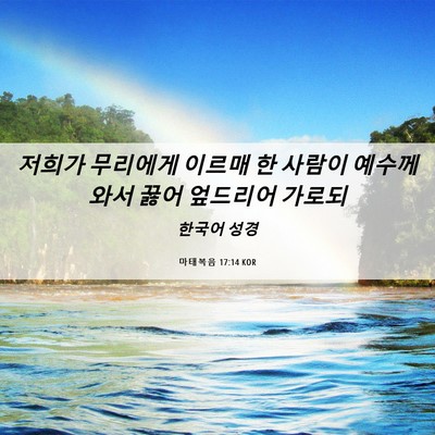 Picture 06 - 마태복음 17:14 KOR - 저희가 무리에게 이르매 한 사람이 - Bible Verse Picture