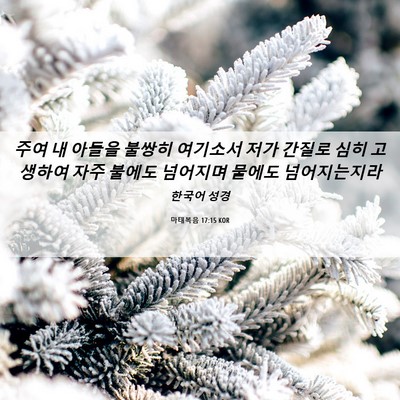 Picture 06 - 마태복음 17:15 KOR - 주여 내 아들을 불쌍히 여기소서 - Bible Verse Picture