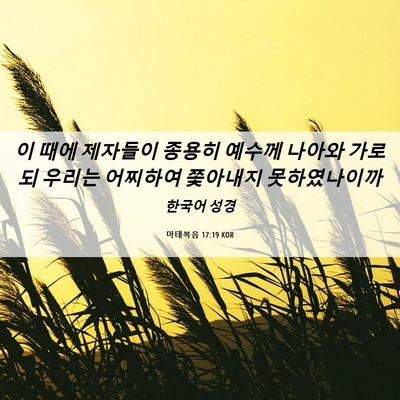 Picture 06 - 마태복음 17:19 KOR - 이 때에 제자들이 종용히 예수께 - Bible Verse Picture