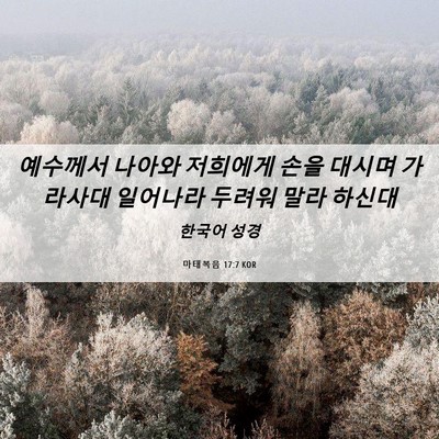 Picture 06 - 마태복음 17:7 KOR - 예수께서 나아와 저희에게 손을 - Bible Verse Picture