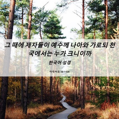 Picture 06 - 마태복음 18:1 KOR - 그 때에 제자들이 예수께 나아와 - Bible Verse Picture