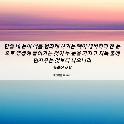 Picture 06 - 마태복음 18:9 KOR - 만일 네 눈이 너를 범죄케 하거든 - Bible Verse Picture