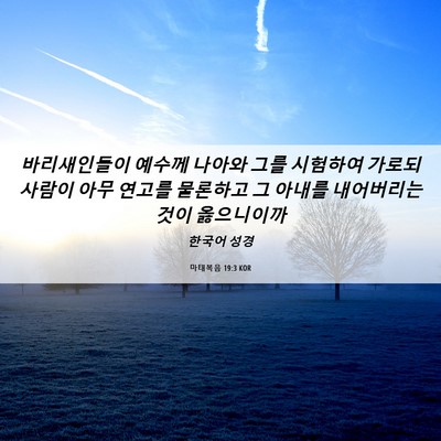 Picture 06 - 마태복음 19:3 KOR - 바리새인들이 예수께 나아와 그를 - Bible Verse Picture