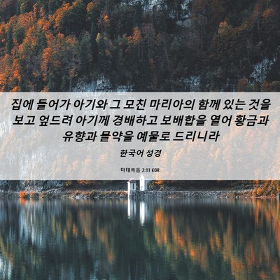Picture 06 - 마태복음 2:11 KOR - 집에 들어가 아기와 그 모친 - Bible Verse Picture