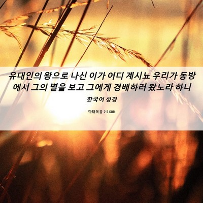 Picture 06 - 마태복음 2:2 KOR - 유대인의 왕으로 나신 이가 어디 - Bible Verse Picture
