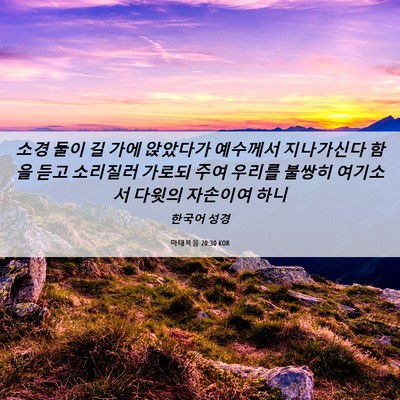 Picture 06 - 마태복음 20:30 KOR - 소경 둘이 길 가에 앉았다가 - Bible Verse Picture