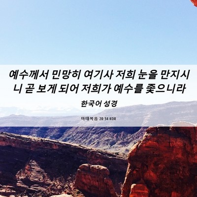 Picture 06 - 마태복음 20:34 KOR - 예수께서 민망히 여기사 저희 눈을 - Bible Verse Picture